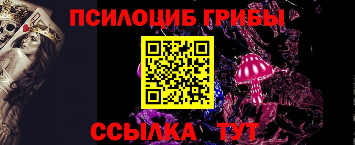 Галлюциногенные грибы мицелий Россия