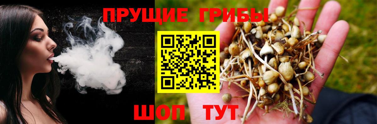цена   Вход с VPN  Россия  Галлюциногенные грибы мухоморы  Галлюциногенные грибы Psilocybine cubensis 